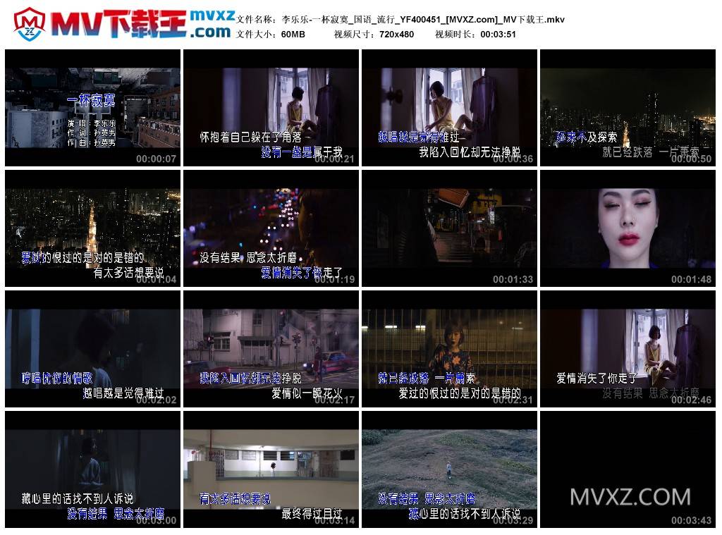 李乐乐-一杯寂寞_国语_流行_YF400451